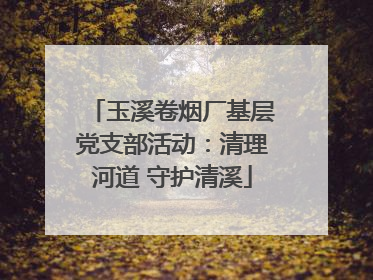 玉溪卷烟厂基层党支部活动：清理河道 守护清溪