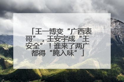 王一博变“广西表哥”，王安宇成“王安全”！谁来了两广都得“腌入味”