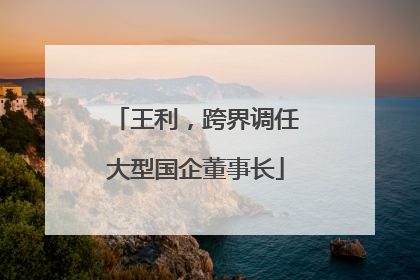 王利，跨界调任大型国企董事长