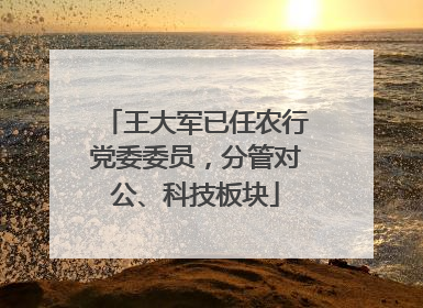 王大军已任农行党委委员，分管对公、科技板块