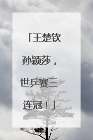 王楚钦孙颖莎，世乒赛三连冠！