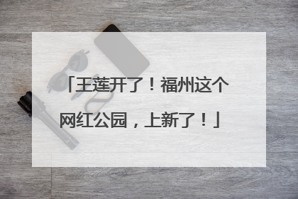 王莲开了！福州这个网红公园，上新了！