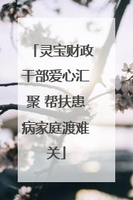 灵宝财政干部爱心汇聚 帮扶患病家庭渡难关