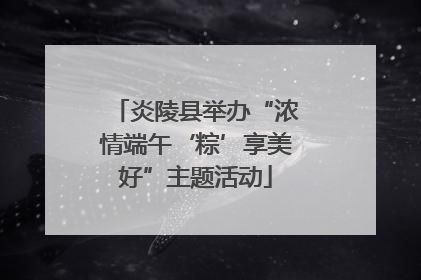 炎陵县举办“浓情端午‘粽’享美好”主题活动