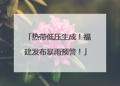 热带低压生成！福建发布暴雨预警！
