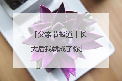 父亲节报道丨长大后我就成了你