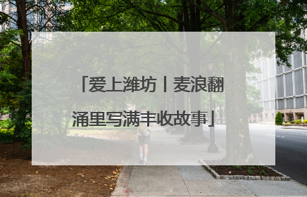爱上潍坊丨麦浪翻涌里写满丰收故事