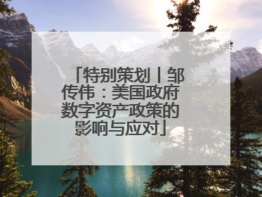 特别策划丨邹传伟：美国政府数字资产政策的影响与应对
