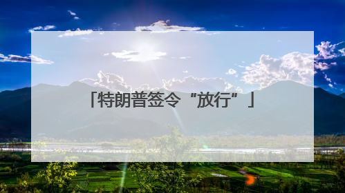 特朗普签令“放行”