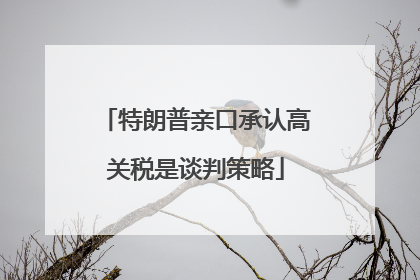 特朗普亲口承认高关税是谈判策略