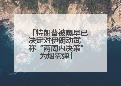 特朗普被曝早已决定对伊朗动武 称“两周内决策”为烟雾弹