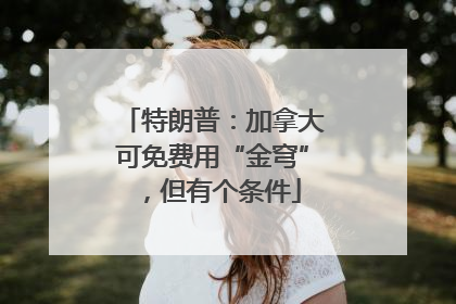 特朗普：加拿大可免费用“金穹”，但有个条件