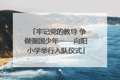 牢记党的教导 争做强国少年——向阳小学举行入队仪式