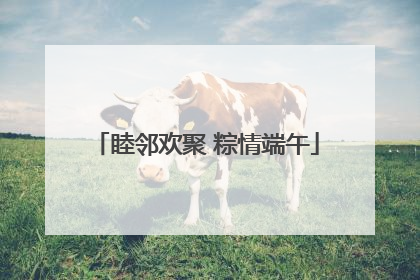 睦邻欢聚 粽情端午