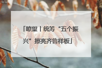 瞭望丨统筹“五个振兴”擦亮齐鲁样板