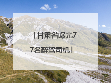 甘肃省曝光77名醉驾司机
