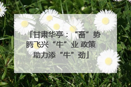 甘肃华亭：“畜”势腾飞兴“牛”业 政策助力添“牛”劲