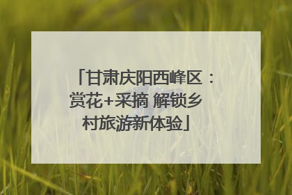 甘肃庆阳西峰区：赏花+采摘 解锁乡村旅游新体验