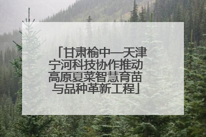 甘肃榆中—天津宁河科技协作推动高原夏菜智慧育苗与品种革新工程