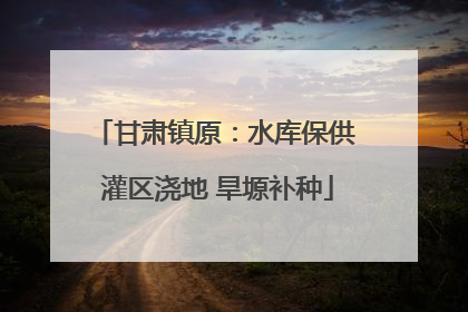 甘肃镇原：水库保供 灌区浇地 旱塬补种