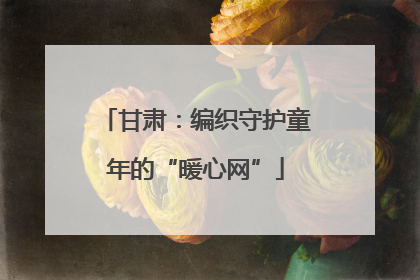 甘肃：编织守护童年的“暖心网”