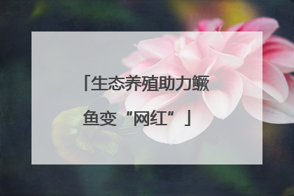 生态养殖助力鳜鱼变“网红”