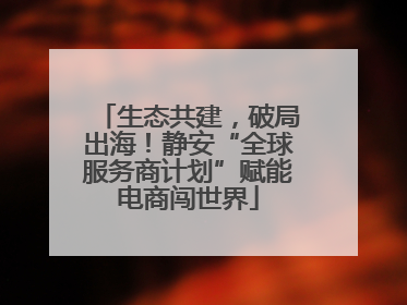 生态共建，破局出海！静安“全球服务商计划”赋能电商闯世界