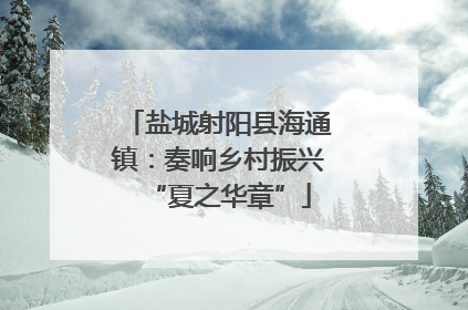 盐城射阳县海通镇：奏响乡村振兴“夏之华章”