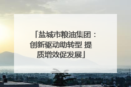 盐城市粮油集团：创新驱动助转型 提质增效促发展