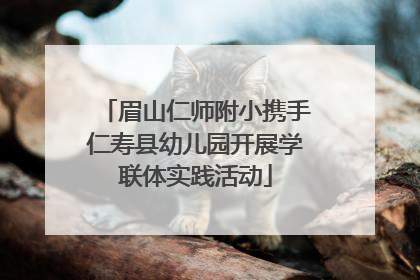 眉山仁师附小携手仁寿县幼儿园开展学联体实践活动