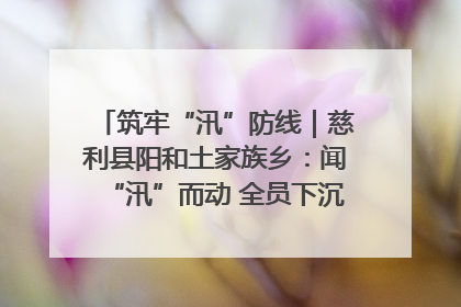 筑牢“汛”防线｜慈利县阳和土家族乡：闻“汛”而动 全员下沉筑牢防汛“安全堤”