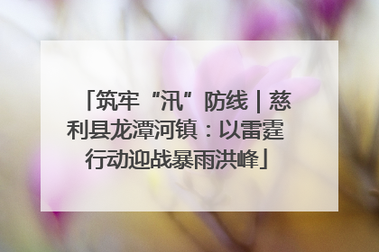 筑牢“汛”防线｜慈利县龙潭河镇：以雷霆行动迎战暴雨洪峰