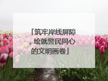 筑牢岸线屏障，绘就警民同心的文明画卷
