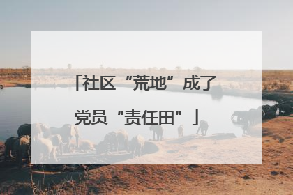 社区“荒地”成了党员“责任田”