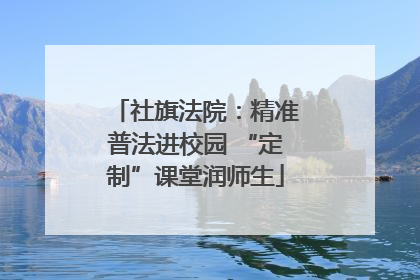 社旗法院：精准普法进校园 “定制”课堂润师生