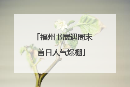 福州书展遇周末 首日人气爆棚