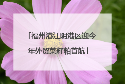 福州港江阴港区迎今年外贸菜籽粕首航
