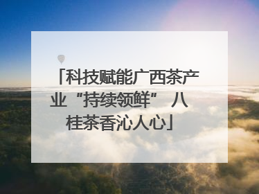 科技赋能广西茶产业“持续领鲜” 八桂茶香沁人心