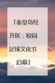 秦皇岛经开区：校园足球文化节启幕