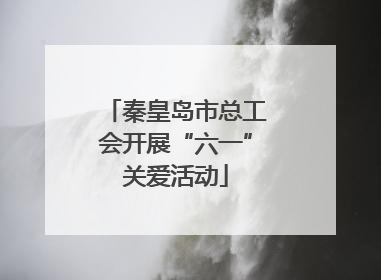 秦皇岛市总工会开展“六一”关爱活动