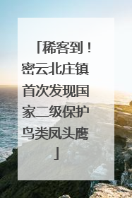 稀客到！密云北庄镇首次发现国家二级保护鸟类凤头鹰
