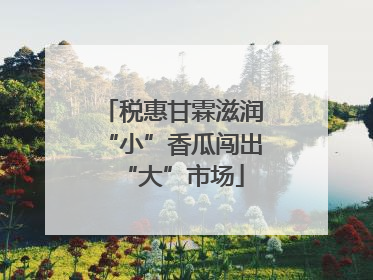 税惠甘霖滋润“小”香瓜闯出“大”市场