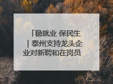 稳就业 保民生｜泰州支持龙头企业对新聘和在岗员工进行实训——到岗就能用 用了就见效