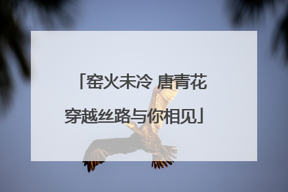 窑火未冷 唐青花穿越丝路与你相见