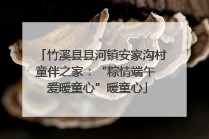 竹溪县县河镇安家沟村童伴之家：“粽情端午 爱暖童心”暖童心