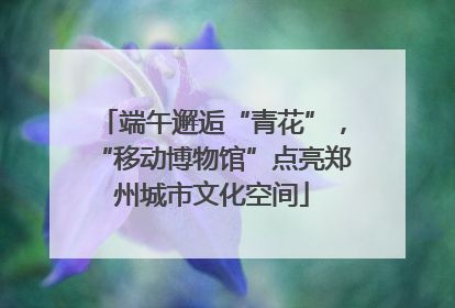 端午邂逅“青花”，“移动博物馆”点亮郑州城市文化空间
