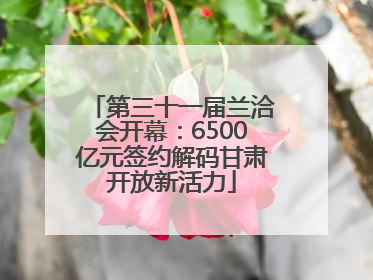 第三十一届兰洽会开幕：6500亿元签约解码甘肃开放新活力