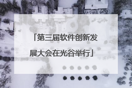 第三届软件创新发展大会在光谷举行