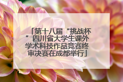 第十八届“挑战杯”四川省大学生课外学术科技作品竞赛终审决赛在成都举行