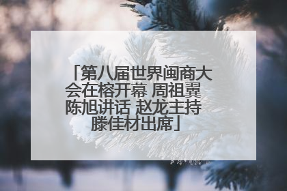 第八届世界闽商大会在榕开幕 周祖翼陈旭讲话 赵龙主持 滕佳材出席